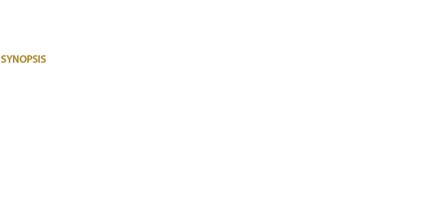 Production de films, documentaires, programmes tlviss, publicit, programmes courts, musographie, captations de spectacles en 3D, contenus en 3D, stroscopie, relief, postproduction 3D, ralisation en 3D, autostroscopie, alioscopy, films en 3D sans lunettes, graphisme, effets spciaux, transmedia, crossmedia, ralit augmente, conversion 2D-3D